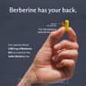 Sunergetic Premium Berberine Supplement supplement product thumbnail 5 of 6