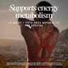Nature's Way 7-KETO, DHEA Metabolite, Supports Energy Metabolism*, 25 mg Potency Per Serving, Gluten Free, Vegan, 60 Capsules (Packaging May Vary) supplement product thumbnail 2 of 5