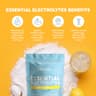 Paleovalley Essential Electrolytes Powder supplement product thumbnail 4 of 6