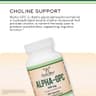 Alpha GPC Choline Brain Supplement for Acetylcholine (60 Count, 600mg Servings) Advanced Memory Formula, Focus and Brain Support, Focus Supplement (Manufactured in The USA) by Dou… supplement product thumbnail 5 of 6