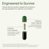 Seed 14 Day Gut Reset supplement product thumbnail 5 of 5