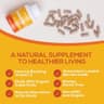 Paleovalley Essential C Complex supplement product thumbnail 3 of 5