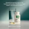 Thorne Berberine-500 supplement product thumbnail 3 of 6