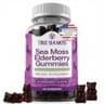 TrueSeaMoss Elderberry Sea Moss Gummies (Organic) supplement product thumbnail 1 of 5