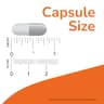 NOW Foods Quercetin with Bromelain supplement product thumbnail 3 of 5