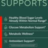 Sunergetic Blood Sugar Support Bitter Melon ALA supplement product thumbnail 2 of 5