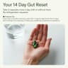 Seed 14 Day Gut Reset supplement product thumbnail 3 of 5