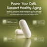 DoNotAge Pure NMN Capsules supplement product thumbnail 3 of 6