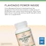 Double Wood Citrus Bergamot 1000mg (NSF Certified) supplement product thumbnail 4 of 5