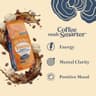 Four Sigmatic Cold Brew Coffee Grounds supplement product thumbnail 3 of 5