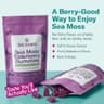 TrueSeaMoss Elderberry Sea Moss Gummies — #2 Sea Vegetables supplement product thumbnail 4 of 5