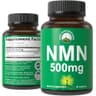 Peak Performance NMN 500mg Capsules supplement product thumbnail 1 of 5