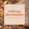 Nature's Way Glucomannan from Konjac Root supplement product thumbnail 5 of 6