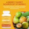 Paleovalley Essential C Complex supplement product thumbnail 5 of 5