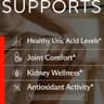 Sunergetic Uric Acid Support Tart Cherry supplement product thumbnail 3 of 6