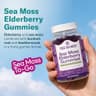 TrueSeaMoss Elderberry Sea Moss Gummies (Organic) supplement product thumbnail 2 of 5