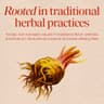 Nature's Way Glucomannan from Konjac Root supplement product thumbnail 4 of 6