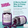 TrueSeaMoss Elderberry Sea Moss Gummies (Organic) supplement product thumbnail 4 of 5