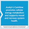 Life Extension Acetyl-L-Carnitine, Acetyl-L-Carnitine, Vitamin C, Brain, Mood & Nerve Health, Cellular Energy, 3-Month Supply, Gluten-Free, Non-GMO, Vegetarian, 100 Capsules supplement product thumbnail 5 of 6
