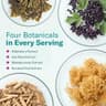 TrueSeaMoss Elderberry Sea Moss Gummies (Organic) supplement product thumbnail 3 of 5