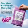 TrueSeaMoss Elderberry Sea Moss Gummies — #2 Sea Vegetables supplement product thumbnail 2 of 5