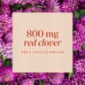 Nature's Way Red Clover Blossom 400mg supplement product thumbnail 5 of 6