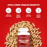 Paleovalley Apple Cider Vinegar Complex supplement product thumbnail 4 of 6