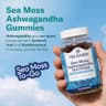 TrueSeaMoss Ashwagandha Sea Moss Gummies supplement product thumbnail 2 of 5
