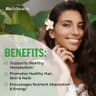 BioSchwartz Coconut Oil Softgels 2000mg supplement product thumbnail 4 of 6