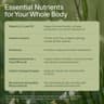 Seed DM-02 Daily Multivitamin supplement product thumbnail 4 of 6