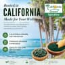 Earthrise Spirulina Natural 500mg supplement product thumbnail 4 of 6