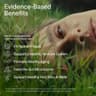 Seed DM-02 Daily Multivitamin supplement product thumbnail 3 of 6