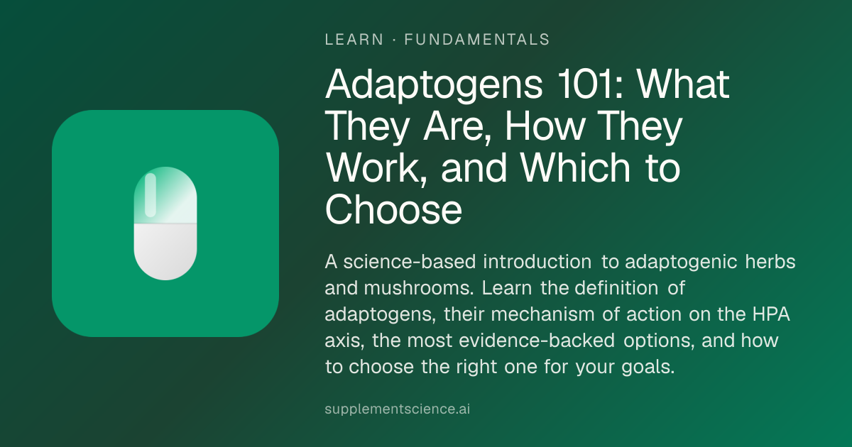 Adaptogens 101: What They Are & How They Work (2026)