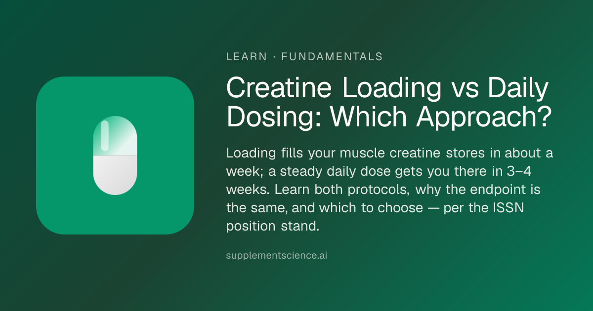 Creatine Loading vs Daily Dosing